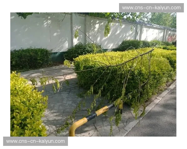 开放制播生态在当前阶段形成 鼓励第三方插件接入提升画面表现力